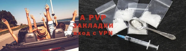 стаф Белоозёрский