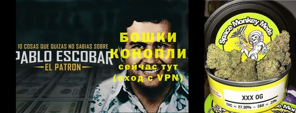 стаф Белоозёрский